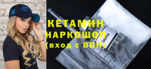 крисы Новозыбков