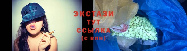 крисы Новозыбков