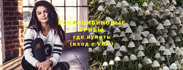 прущие крисы Армянск