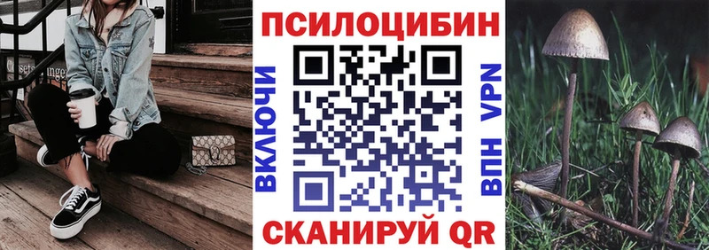 MEGA как зайти  Черноголовка  Галлюциногенные грибы ЛСД 